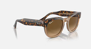 Ray-Ban Mega Hawkeye Polished Havana, Transparent Brown