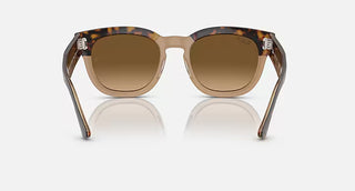 Ray-Ban Mega Hawkeye Polished Havana, Transparent Brown