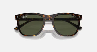 Ray-Ban Havana Sunglasses, Green