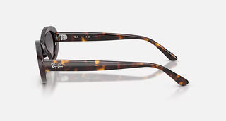 Ray-Ban Havana Sunglasses, Grey Gradient Polar
