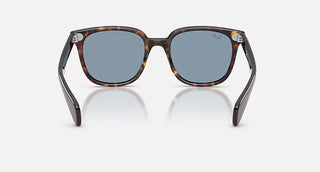 Ray-Ban Brunel II Havana Sunglasses, Blue