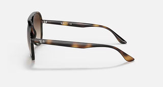 Ray-Ban Havana Sunglasses, Brown