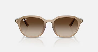Ray-Ban Tortledove Sunglasses, Brown Gradient Dark Brown