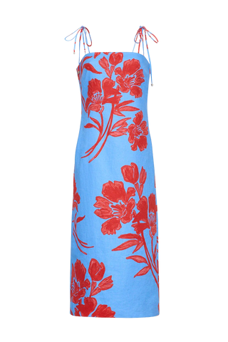 Cara Cara Chelsea Dress, Flora Shadow Sky