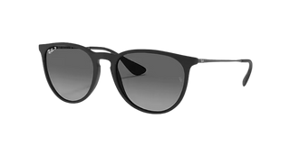 Ray-Ban Erika Sunglasses, Rubber Black