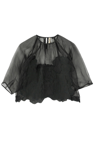 Mirth Bari Organza Top, Black Waterlily