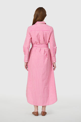 Livro Husband Shirtdress, Raspberry Pinstripe