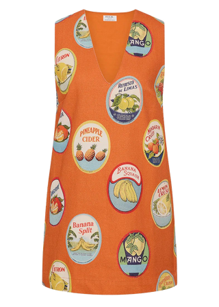 Palm Noosa Louis Mini Dress, La Fruta