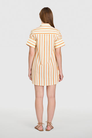 Livro Dock Dress, Dunmore Stripes