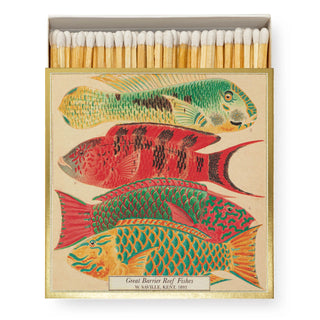 Square Matches, Natural Museum Fish