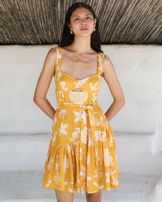 Paolita Elios Selena Dress, Multi