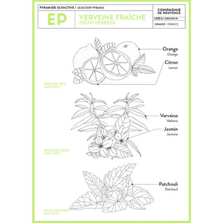 Liquid Marseille Soap, Fresh Verbena