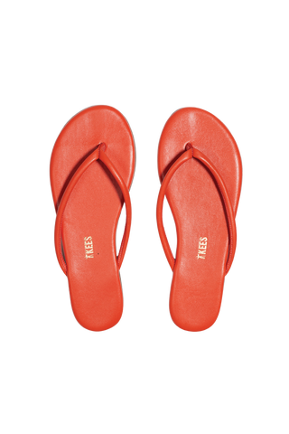Tkees Tubular Lily, Citra