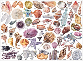 1000 Piece Puzzle, Beachcomber's Companion