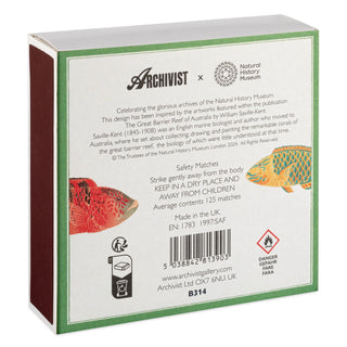 Square Matches, Natural Museum Fish