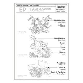 Liquid Marseille Soap, Cotton Flower