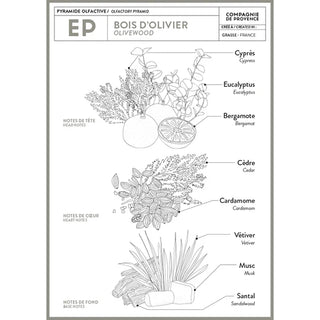 Liquid Marseille Soap, Olive Wood