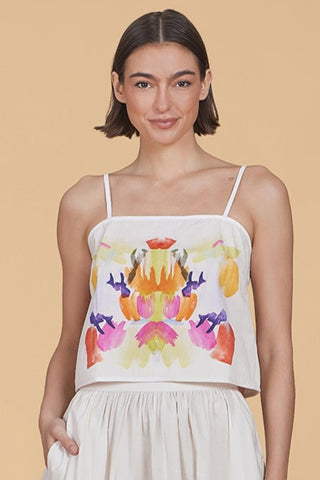 Carter Top, Calypso