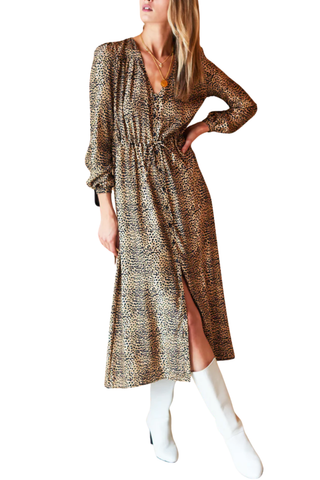 Emerson Fry May Dress, Little Cheetah Silk