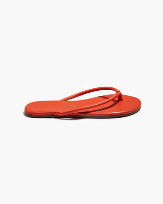 Tkees Tubular Lily, Citra