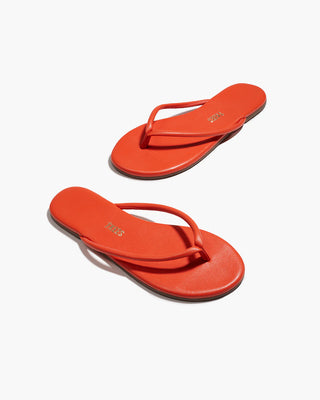 Tkees Tubular Lily, Citra