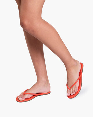Tkees Tubular Lily, Citra