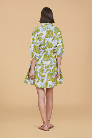 Olivia by Livro Brynn Dress, Zest Leaves