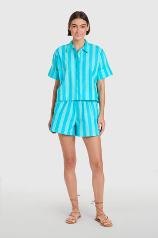Livro Pool Shorts, Surf Stripes