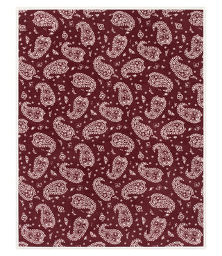ChappyWrap Blanket, Palmer Paisley