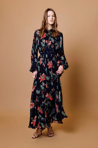 Cleobella Clea Maxi Dress, Chant Des Fleur Print