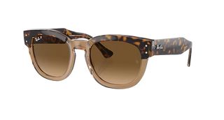 Ray-Ban Mega Hawkeye Polished Havana, Transparent Brown