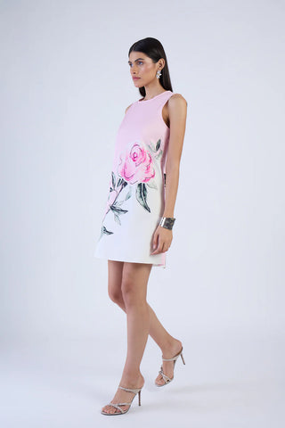 Beyond by Vera Frankie Dress, Villa Celeste Rose