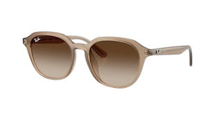 Ray-Ban Tortledove Sunglasses, Brown Gradient Dark Brown