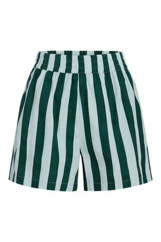 Livro Pool Shorts, Dunlin Stripes