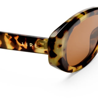 Aire Affinity Sunglasses, Mottled Tort