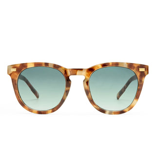 Aire Evolution Sunglasses, Dark Tort